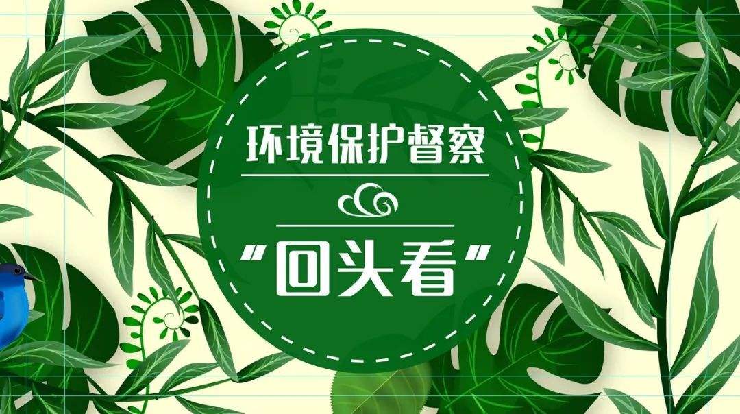 2019年第二輪環(huán)保督查：八項必查點！