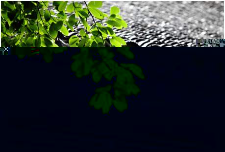 環(huán)境空氣降水中陽離子（Na+、NH4+、K+、Mg2+、Ca2+）的測定離子色譜法