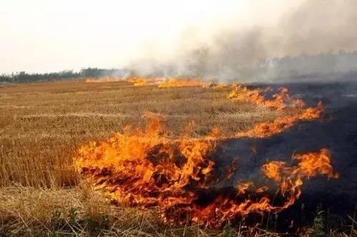 衛(wèi)星遙感秸稈焚燒監(jiān)測技術(shù)規(guī)范