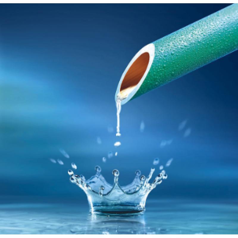 水質(zhì) 氯酸鹽、亞氯酸鹽、溴酸鹽、二氯乙酸和三氯乙酸的測定 離子色譜法